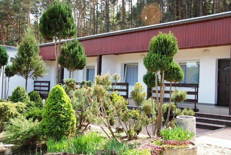 Osrodek Wypoczynkowy Sosenka Apartment Zalom  Ngoại thất bức ảnh